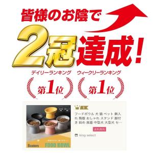 犬 猫 フードボウル 早食い防止 食器 餌入れ...の詳細画像4