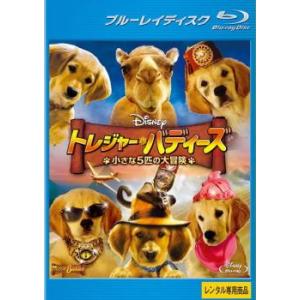トレジャー バディーズ 小さな5匹の大冒険 ブルーレイディスク レンタル落ち  ブルーレイ