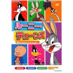 ポケットモンスター アドバンスジェネレーション 14 レンタル落ち 中古