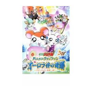 劇場版 とっとこハム太郎 ハムハムグランプリン オーロラ谷の奇跡 リボンちゃん危機一髪! レンタル落...