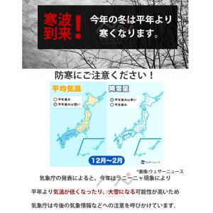 即納 電熱ベスト 日本製ヒーター 防寒ベスト ...の詳細画像1