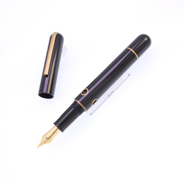 万年筆 Nahvalur ナーヴァル 万年筆 ノーチラス ブロンズ コリドラス