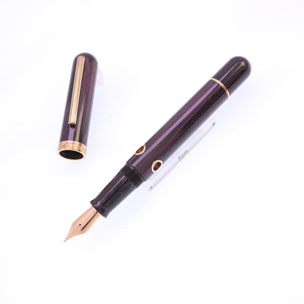 万年筆 Nahvalur ナーヴァル 万年筆 ノーチラス スティロフォラ ベリー