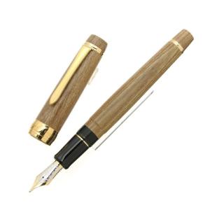 パイロット 万年筆 カスタム槐 エンジュ モクメ 太字 FKV-5MK-ME-B