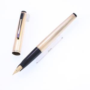 プラチナ万年筆 PLATINUM 銀無垢 #9 シルバー 万年筆 PTS-50000 M 中