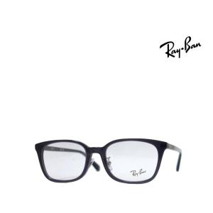 Ray-Ban（レイバン） RayBan メガネケース スチール製ハードケース L