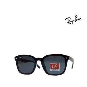 Ray-Ban（レイバン） 【Ray-Ban】レイバン サングラス RBR0502S 6677