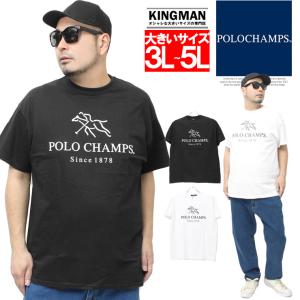 セール POLO CHAMPS ポロチャンプス ...の商品画像