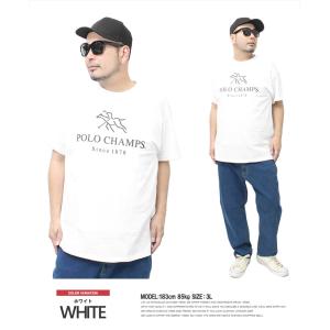 セール POLO CHAMPS ポロチャンプス...の詳細画像2
