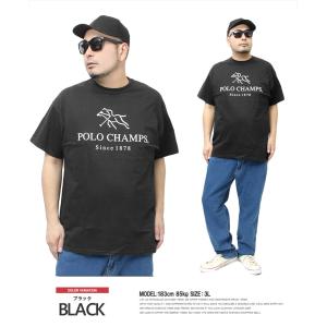 セール POLO CHAMPS ポロチャンプス...の詳細画像3