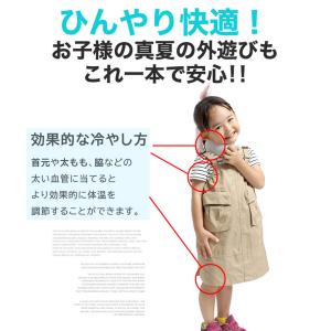 アイスパック 携帯 氷のう 魔法瓶構造 持ち運...の詳細画像3