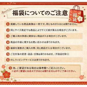 数量限定 福袋 メンズ 大きいサイズ 3点セッ...の詳細画像3
