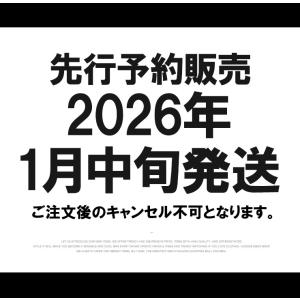 数量限定 福袋 メンズ 大きいサイズ 3点セッ...の詳細画像4