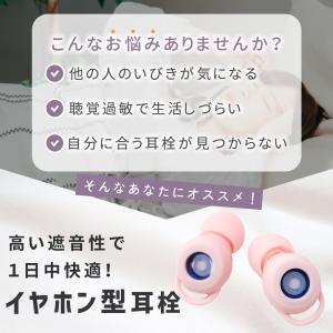 耳栓 イヤホン型 ケース付き イヤーピース付き...の詳細画像1