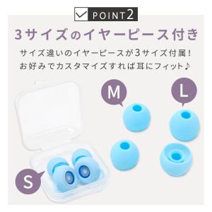 耳栓 イヤホン型 ケース付き イヤーピース付き...の詳細画像4