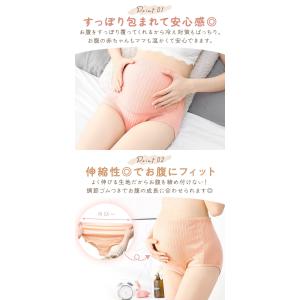 マタニティショーツ 3+1枚セット かわいい ...の詳細画像2