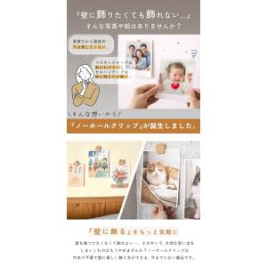 【処分セール】ピクチャークリップ ノーホールク...の詳細画像2
