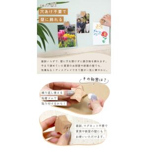 【処分セール】ピクチャークリップ ノーホールク...の詳細画像3