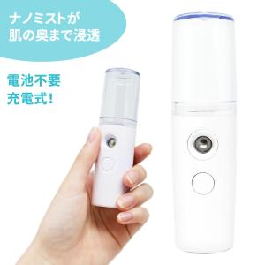 フェイススチーマー ハンディミスト 加湿器 スチーマー