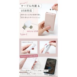 防災士推奨 乾電池式モバイルバッテリー ケーブ...の詳細画像4