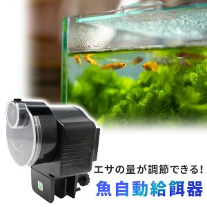 TIMESTOP NEXT FEEDER Lサイズ 回らない次世代フード