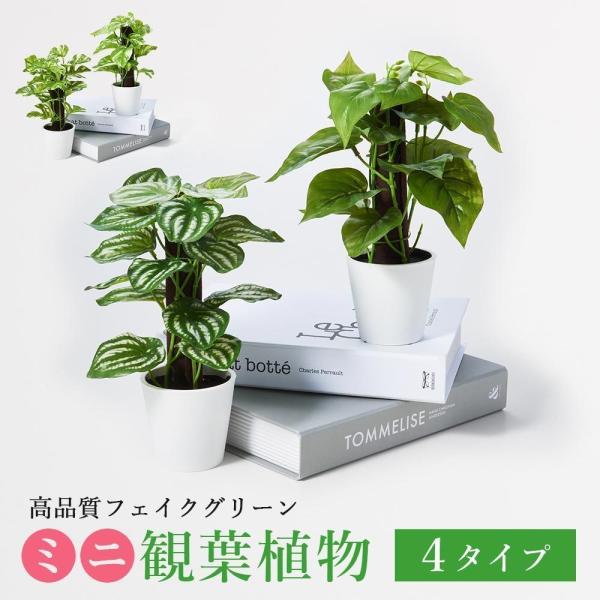 人工 観葉植物 卓上 ミニ ポット モンステラ ポトス ペペロミア フィロ ギフト 実用的 鉢 癒し...