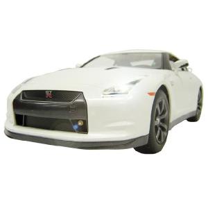 Rastar nissan gtr