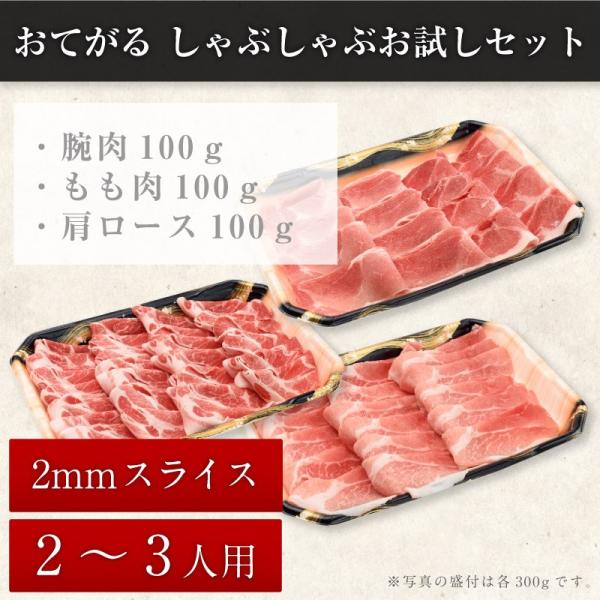 おてがる　しゃぶしゃぶお試しセット