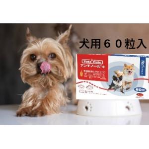 アンチノール プラス 犬用サプリメント 60粒入り