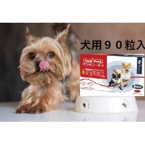 アンチノール プラス 犬 犬用 90粒 90 犬用サプリメント 送料無料 CCC