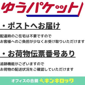 イトーキ ITOKI サリダスストレージ用 書...の詳細画像3