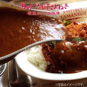 送料無料　剛家カレー　あめいろたまねぎ　本格カレールゥ　3人前×3パック　　メーカー直送　同梱不可代...