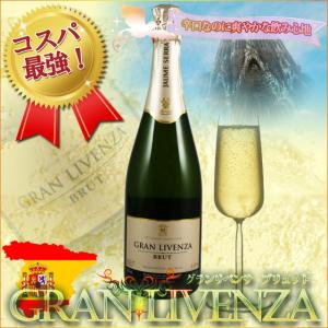 グランリベンサ ブリュット ハウメ セラ 750ml スペインワイン カヴァ