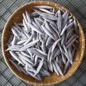 鹿児島 きびなごの商品一覧 通販 Yahoo ショッピング