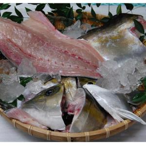 【西日本エリアまで出荷可能】甑島産 カンパチ1尾3枚下ろし約3.8kg　甑島産産地直送ｆ送料無料｜kinko