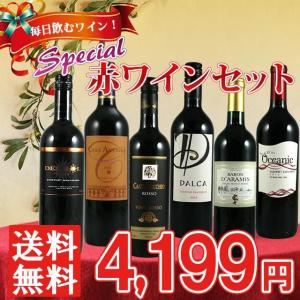 【送料無料】スペシャル赤ワインセット　750ml×6本　｜kinko