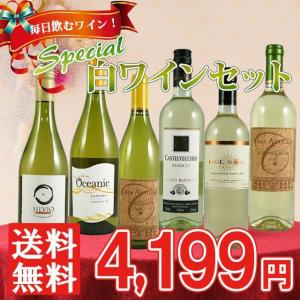 【送料無料】スペシャル白ワインセット　750ml×6本　｜kinko