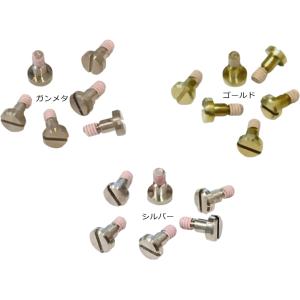 G-STEEL GST-W100,GST-W110用ベゼル正面ネジ : Kinko-Do Yahoo!店