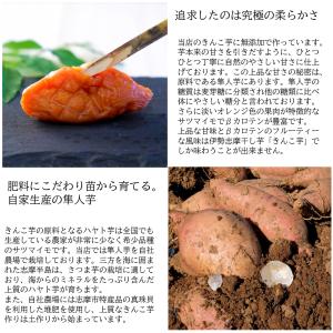 規格外きんこ芋 伊勢志摩 ひとくち 干し芋 無...の詳細画像5