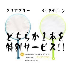 爬虫類 両生類 アート ウミガメの子 煌 カメ...の詳細画像5