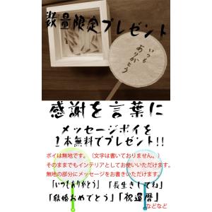 樹脂金魚 3D金魚 咲 手作り 還暦 送別の品...の詳細画像4