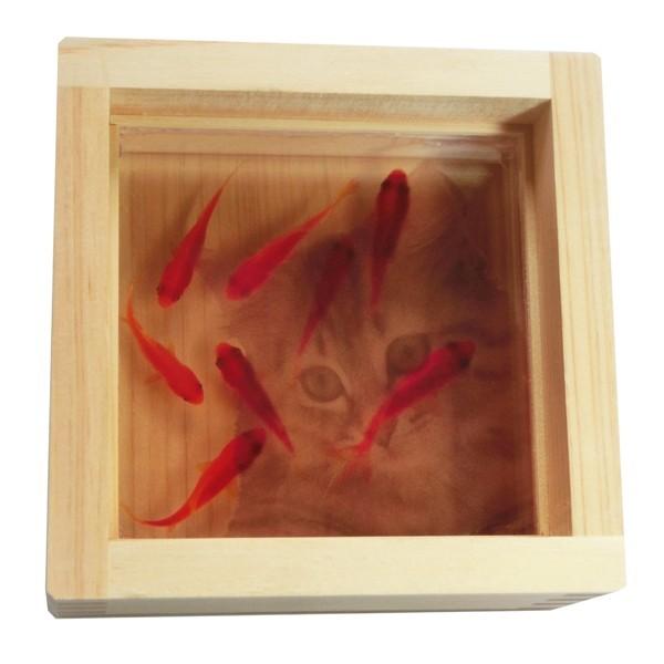 猫 ねこ ネコ 雑貨 ネコグッズ 猫用品 リング 金魚アート 手作り プレゼント 家具 インテリア雑...