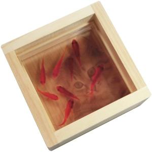 アウトレット 美品 タイムセール 金魚 アート アクリル 琉金