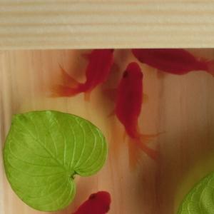 アクリルアート 楽 もみじ ヘッドホン らんちゅう 縁起物 金魚 ランチュウ raku5.jpg