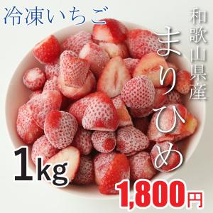 【産地から直送】冷凍いちご まりひめ 500g×2袋 和歌山県紀の川市産