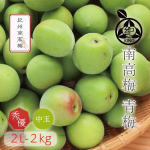 南高梅 青梅 送料無料 【本場紀州産】 【 2L サイズ 2kg 】クール便 和歌山 みなべ 予約 梅酒用 梅シロップ用 梅ジュース用 中玉 中粒 紀州の旬マルシェ 紀の｜kino-kishu