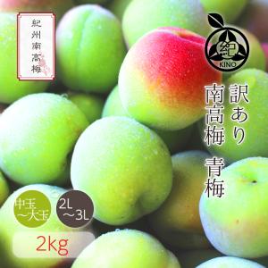 南高梅 青梅 本場紀州産 クール便 送料無料【 訳あり 2kg 】紀州南高梅 生梅 予約 中玉 大玉 梅 梅酒用 梅シロップ用 梅ジュース用 梅干し用
