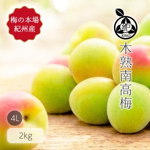 南高梅 完熟 本場紀州産 クール便 送料無料【 2L サイズ 3kg 】紀州南