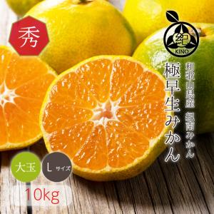 【7営業日以内に発送中】極早生みかん 送料無料【 秀品 L サイズ 10kg 】和歌山 紀南 温州みかん 大玉 L 糖度 濃厚 家庭用 贈答用 ギフト 紀の