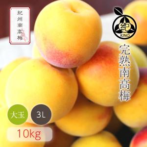 南高梅 完熟 本場紀州産 クール便 送料無料 【 3L サイズ 10kg 】 紀州南高梅 生梅 予約 大玉 大粒 梅酒用 梅シロップ用 梅ジュース用 梅干し用